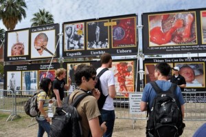 ProLifeOnCampus at U of Arizona ProLifeOnCampus at U of Arizona
