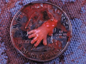 10-week (1st-trimester) hand on quarter 10-week (1st-trimester) hand on quarter
