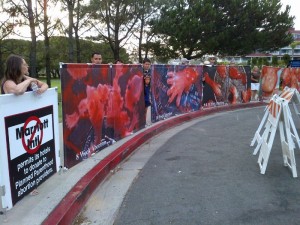 CBR Corporate Accountability Project at Marriott Dana Point California