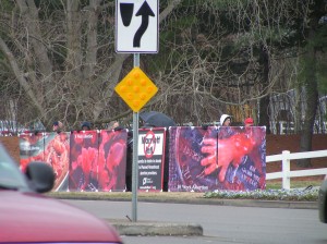 Pictures work magic on the hearts and minds of passing motorists and their passengers.